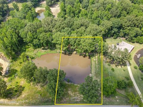 3106 Nikki Lake Dr, Nesbit, MS 38651 photo 1