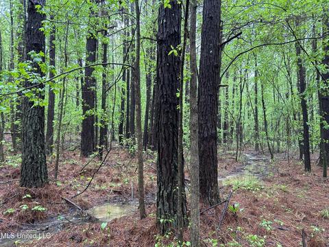 S. Union Road, Ackerman, MS 39735 photo 18