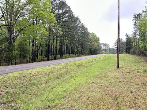 S. Union Road, Ackerman, MS 39735 photo 3