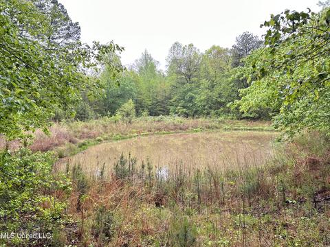 S. Union Road, Ackerman, MS 39735 photo 17