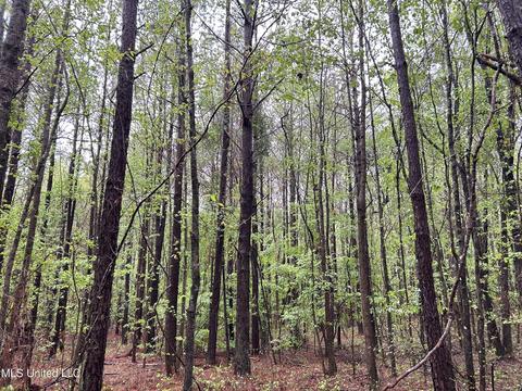 S. Union Road, Ackerman, MS 39735 photo 12