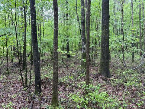 S. Union Road, Ackerman, MS 39735 photo 24