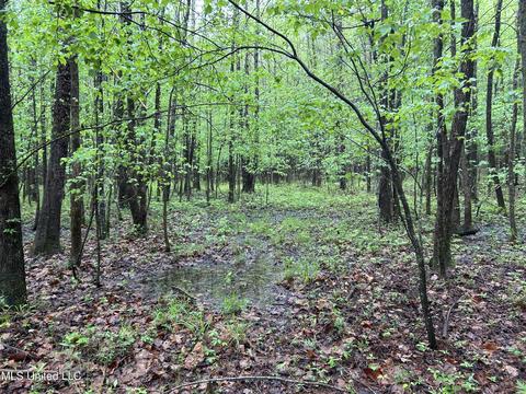 S. Union Road, Ackerman, MS 39735 photo 27