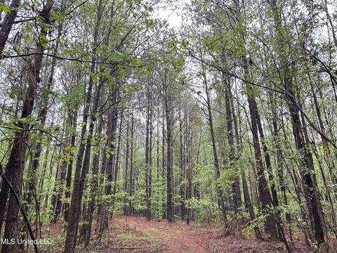 S. Union Road, Ackerman, MS 39735 photo 13