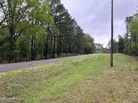S. Union Road, Ackerman, MS 39735 photo 2