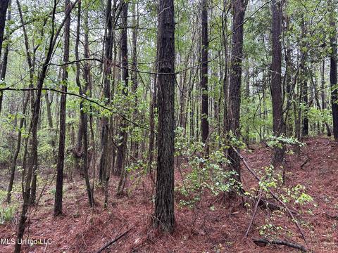 S. Union Road, Ackerman, MS 39735 photo 8