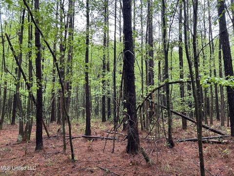 S. Union Road, Ackerman, MS 39735 photo 19
