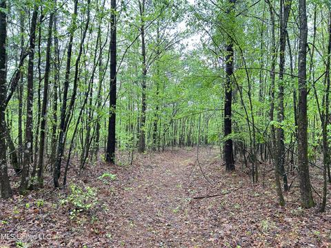 S. Union Road, Ackerman, MS 39735