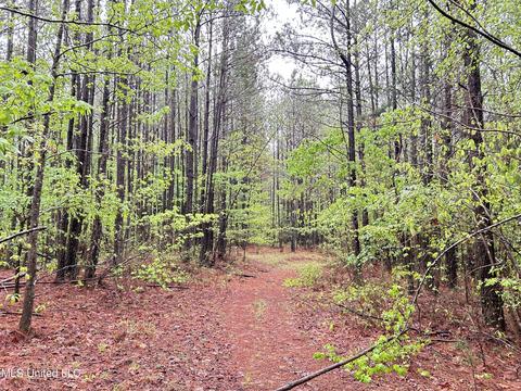 S. Union Road, Ackerman, MS 39735 photo 5