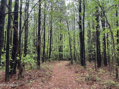 S. Union Road, Ackerman, MS 39735 photo 11