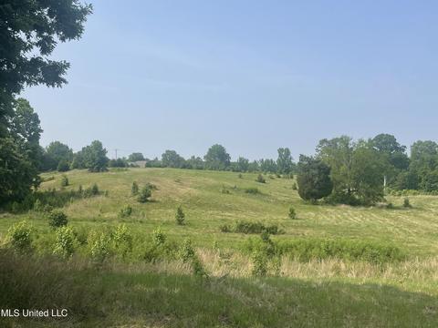 3 Hwy 4, Holly Springs, MS 38635