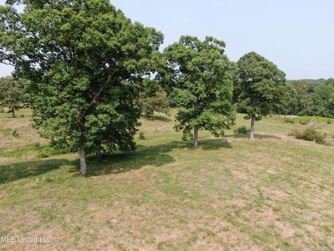 6 Hwy 4, Holly Springs, MS 38635