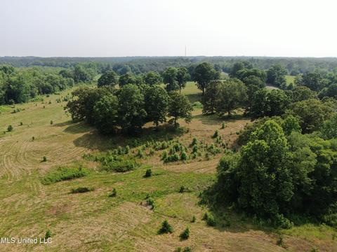 11 Hwy 4, Holly Springs, MS 38635