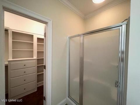 205 E Towne Dr, Brandon, MS 39042 photo 20