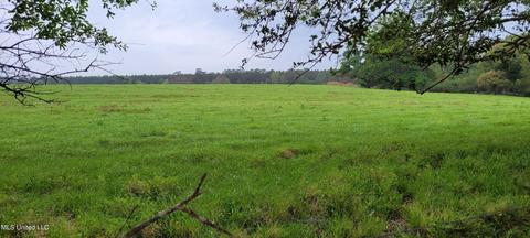 Nhn Grady Lewis Road, Poplarville, MS 39470