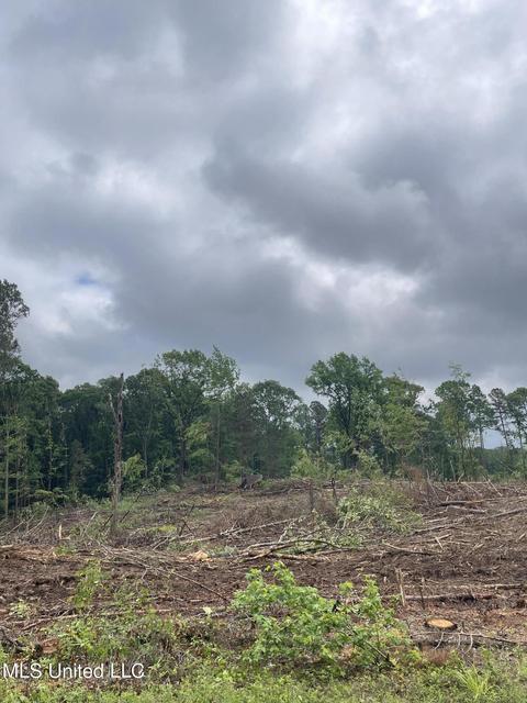 County Road 205, Mantee, MS 39751 photo 17