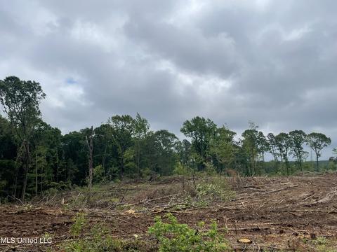 County Road 205, Mantee, MS 39751 photo 18