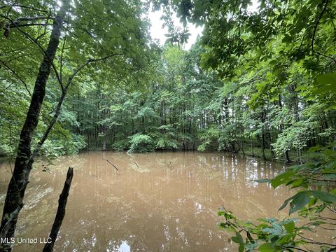 County Road 205, Mantee, MS 39751 photo 14