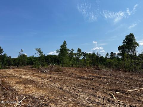 County Road 205, Mantee, MS 39751 photo 9