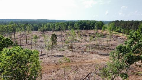 County Road 205, Mantee, MS 39751 photo 6