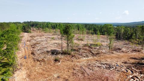 County Road 205, Mantee, MS 39751 photo 4