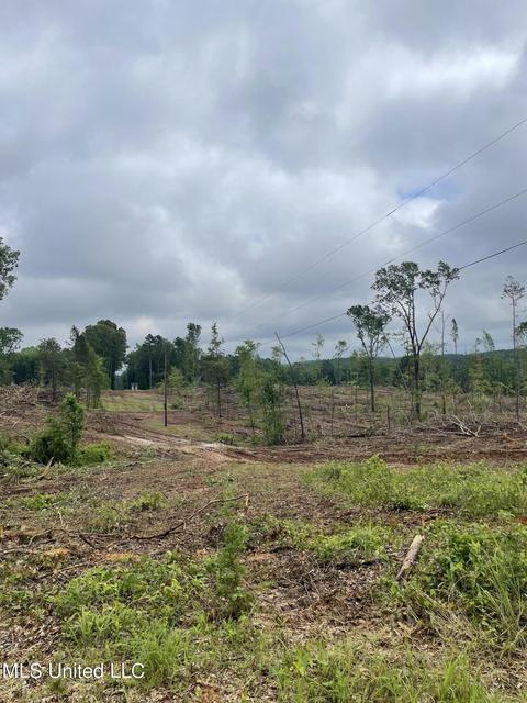 County Road 205, Mantee, MS 39751 photo 15