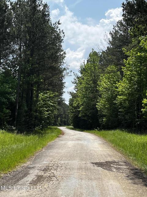 County Road 205, Mantee, MS 39751 photo 12