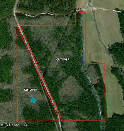 County Road 205, Mantee, MS 39751 photo 2