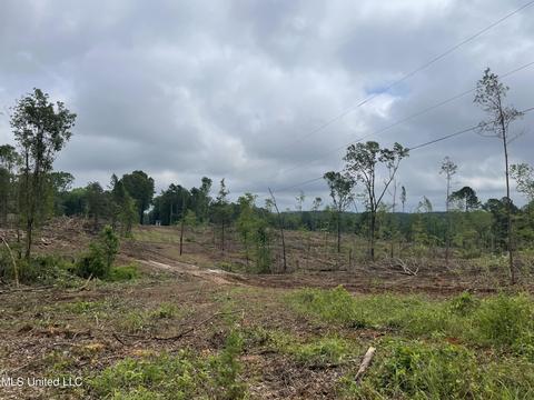 County Road 205, Mantee, MS 39751 photo 16