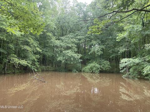 County Road 205, Mantee, MS 39751 photo 13
