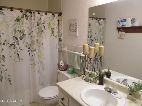 4821 S Big Horn Dr, Nesbit, MS 38651 photo 16