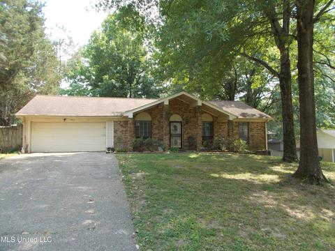 4821 S Big Horn Dr, Nesbit, MS 38651