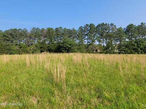 0 Louis Wilson Dr, Brandon, MS 39042