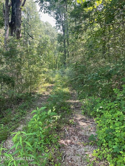 166 Interstate Farm Rd, Byhalia, MS 38611