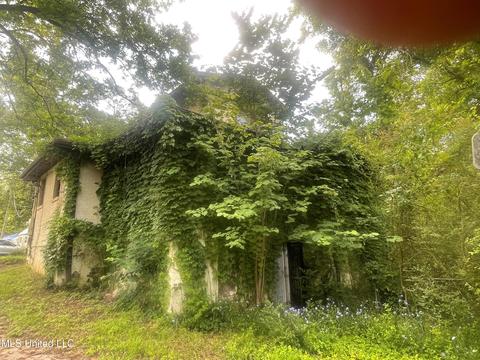 225 Moss Ave, Jackson, MS 39209 photo 4