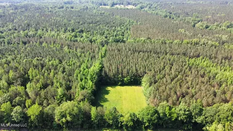 0 County Road 205, Mantee, MS 39751 photo 6