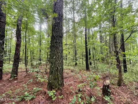 0 County Road 205, Mantee, MS 39751 photo 15