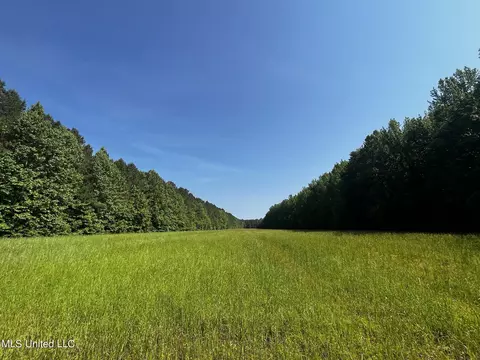 0 County Road 205, Mantee, MS 39751 photo 11