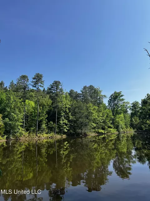 0 County Road 205, Mantee, MS 39751 photo 9
