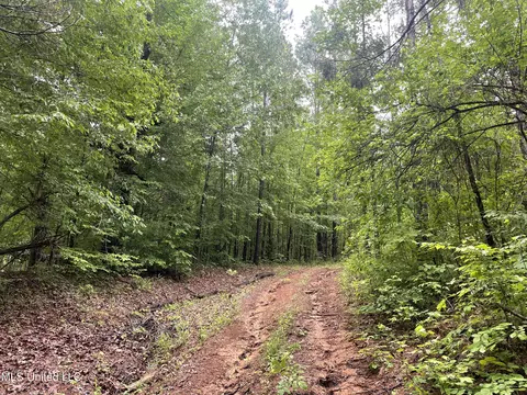 0 County Road 205, Mantee, MS 39751 photo 29