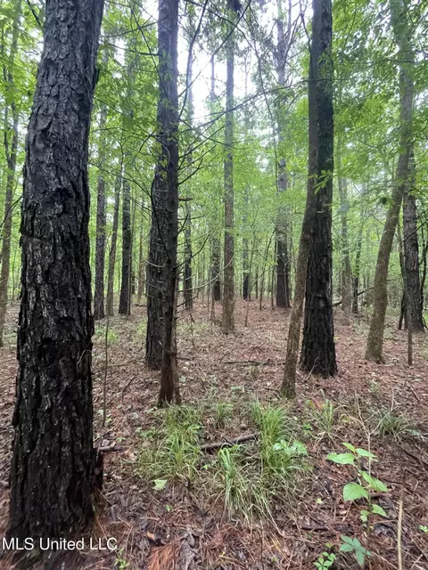 0 County Road 205, Mantee, MS 39751 photo 22