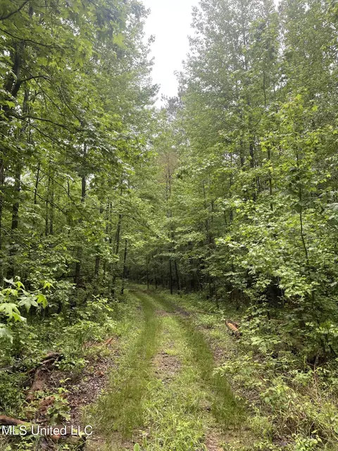 0 County Road 205, Mantee, MS 39751 photo 30