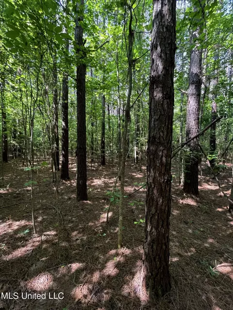 0 County Road 205, Mantee, MS 39751 photo 13