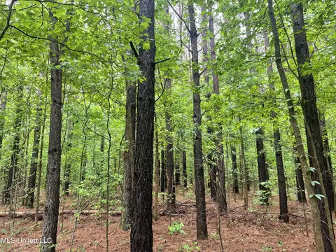 0 County Road 205, Mantee, MS 39751 photo 28