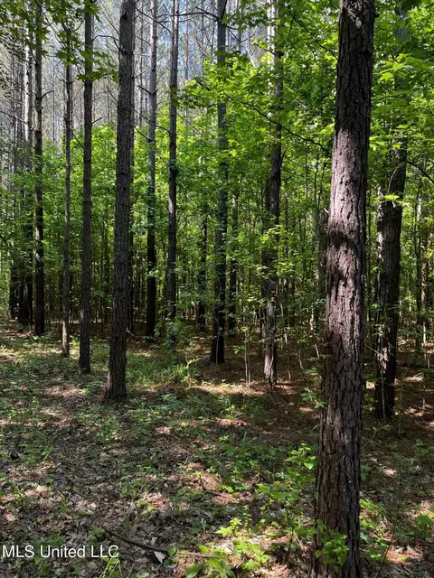 0 County Road 205, Mantee, MS 39751 photo 12