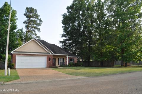 439 Old Town Cir, Brandon, MS 39042 photo 50