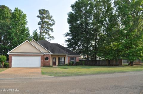 439 Old Town Cir, Brandon, MS 39042 photo 56