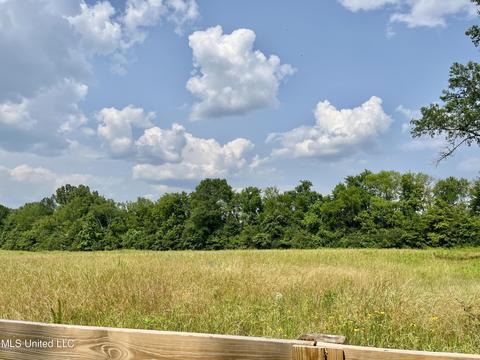 730 Rankin Road Rd, Canton, MS 39046