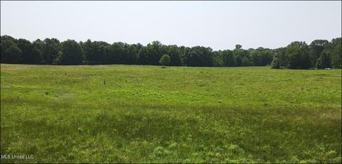 Willow Way, Flora, MS 39071 photo 3