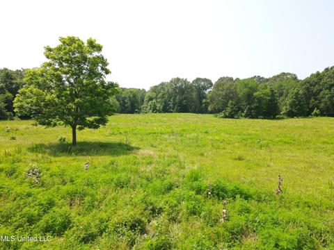 Willow Way, Flora, MS 39071 photo 2